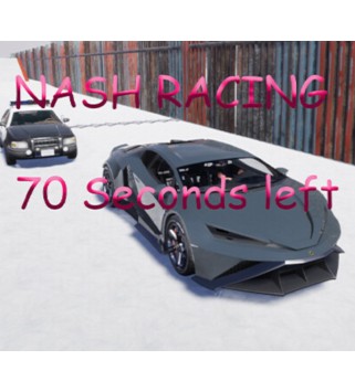 Nash Racing: 70 seconds left Steam Key GLOBAL